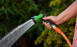 garden hose, water, spray